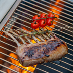 BBQube Outdoor Kitchen Grill & Wood Burning Stove Heater Core