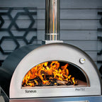 Igneus Pro 750 Wood‑Fired Pizza Oven