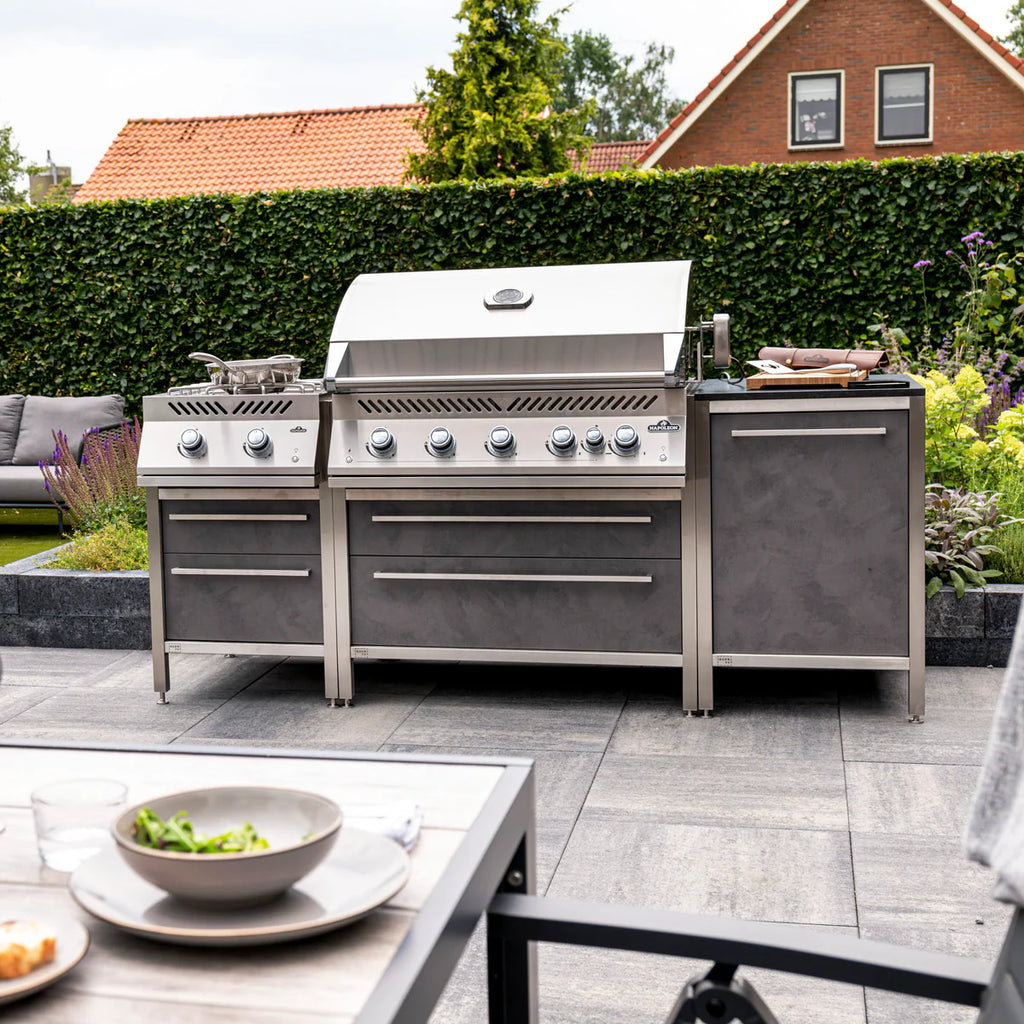Napoleon 700 Series 38 Inch Built In Gas Grill With Rear Infrared Burner And Accu Probe Temperature Gauge