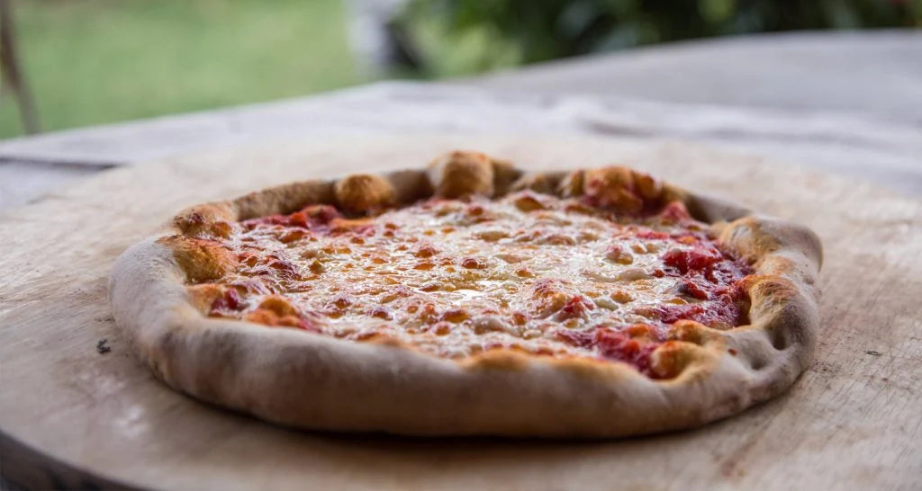 Fontana Margherita Countertop Dual Fuel Pizza Oven